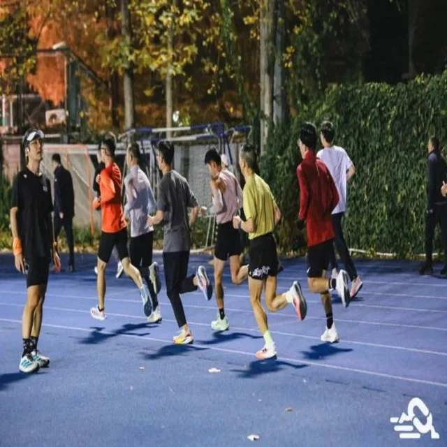深度解析新闻趋势与数据背后的隐藏价值(fifa club world cup)